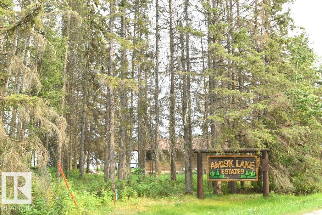 280A Lyn Lane (Amisk Lake) - 26
