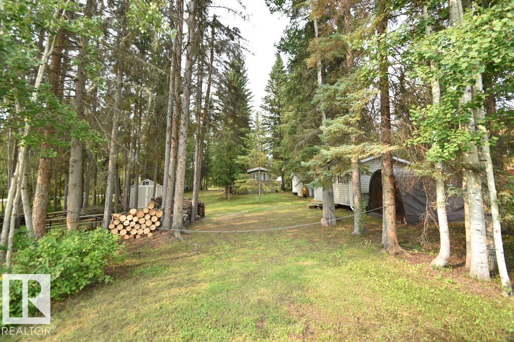 280A Lyn Lane (Amisk Lake) - 27