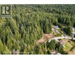 27629 128 Avenue, Maple Ridge, BC V2W1N5 Photo 8