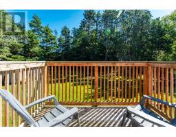 8231 56 County Road, Essa, ON L0M1T0 Photo 13