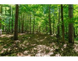 8231 56 County Road, Essa, ON L0M1T0 Photo 31