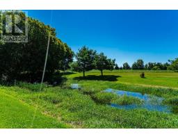 8231 56 County Road, Essa, ON L0M1T0 Photo 39