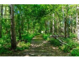 8231 56 County Road, Essa, ON L0M1T0 Photo 41