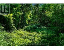 8231 56 County Road, Essa, ON L0M1T0 Photo 44