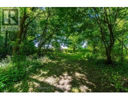 8231 56 County Road, Essa, ON L0M1T0 Photo 45