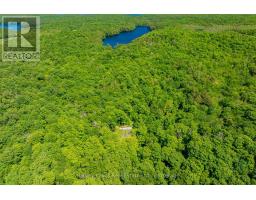 643b Highway 632, Seguin, ON P2A2W8 Photo 16