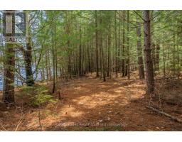 643b Highway 632, Seguin, ON P2A2W8 Photo 17