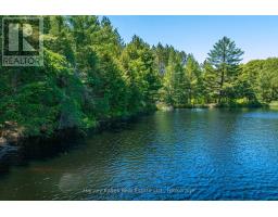 643b Highway 632, Seguin, ON P2A2W8 Photo 9
