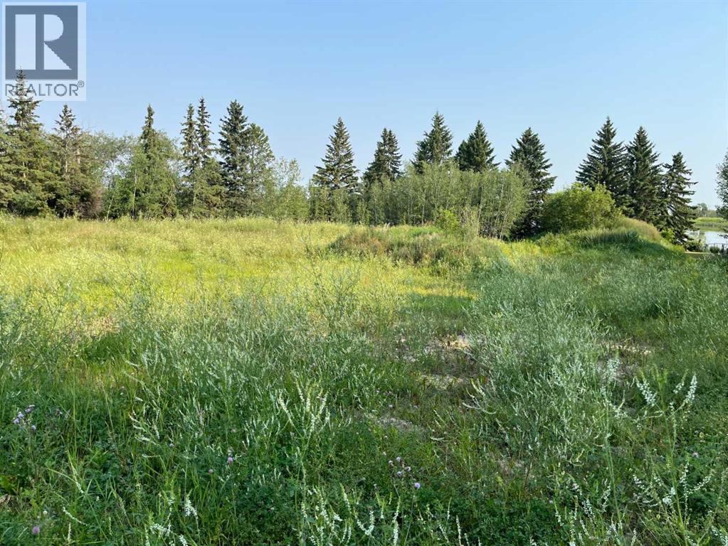 285124 56 Street - Photo 10