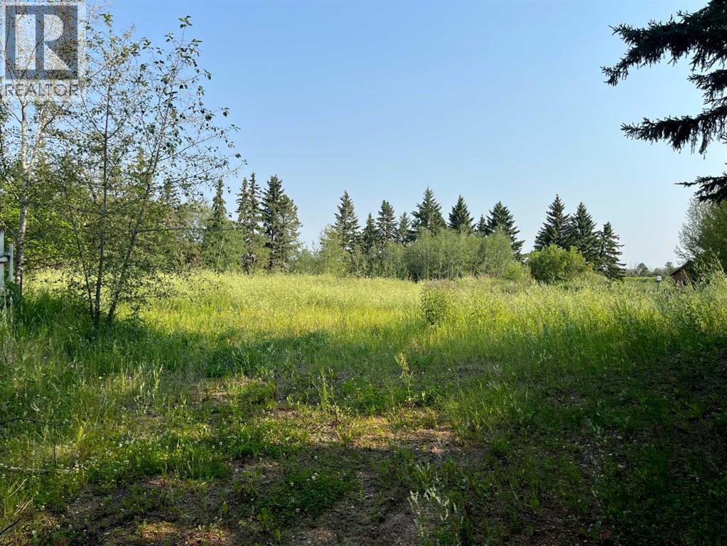 285124 56 Street - Photo 9