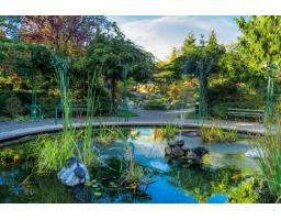 207 13860 70 Avenue, Surrey, BC V3W0S1 Photo 39