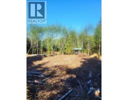 250 Bayview Drive, Port Clements, BC V0T1R0 Photo 6