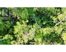 Lot 22 Ray Drive, Northern Bruce Peninsula, ON N0H2R0 Photo 19