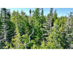 Lot 22 Ray Drive, Northern Bruce Peninsula, ON N0H2R0 Photo 20