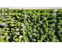 Lot 22 Ray Drive, Northern Bruce Peninsula, ON N0H2R0 Photo 17