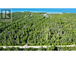 Lot 22 Ray Drive, Northern Bruce Peninsula, ON N0H2R0 Photo 6