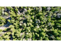 Lot 22 Ray Drive, Northern Bruce Peninsula, ON N0H2R0 Photo 16