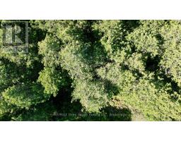 Lot 30 Myles Drive, Northern Bruce Peninsula, ON N0H2R0 Photo 10