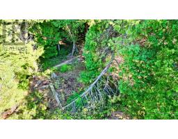 Lot 30 Myles Drive, Northern Bruce Peninsula, ON N0H2R0 Photo 6