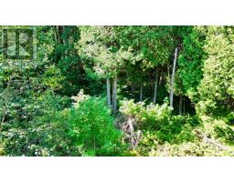 Lot 30 Myles Drive, Northern Bruce Peninsula, ON N0H2R0 Photo 8