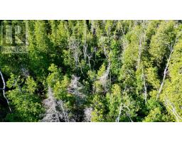 Lot 22 Ray Drive, Northern Bruce Peninsula, ON N0H2R0 Photo 18