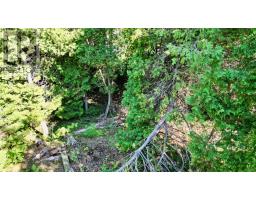 Lot 30 Myles Drive, Northern Bruce Peninsula, ON N0H2R0 Photo 7