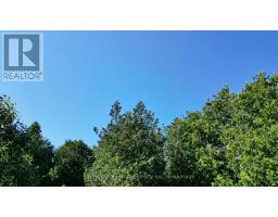 Lot 30 Myles Drive, Northern Bruce Peninsula, ON N0H2R0 Photo 9