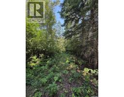 106 Agnes Street, Emma Lake, SK S7J0N0 Photo 9