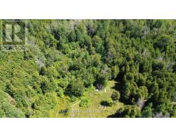 00 Kerford Road, Merrickville Wolford, ON K0G1N0 Photo 7