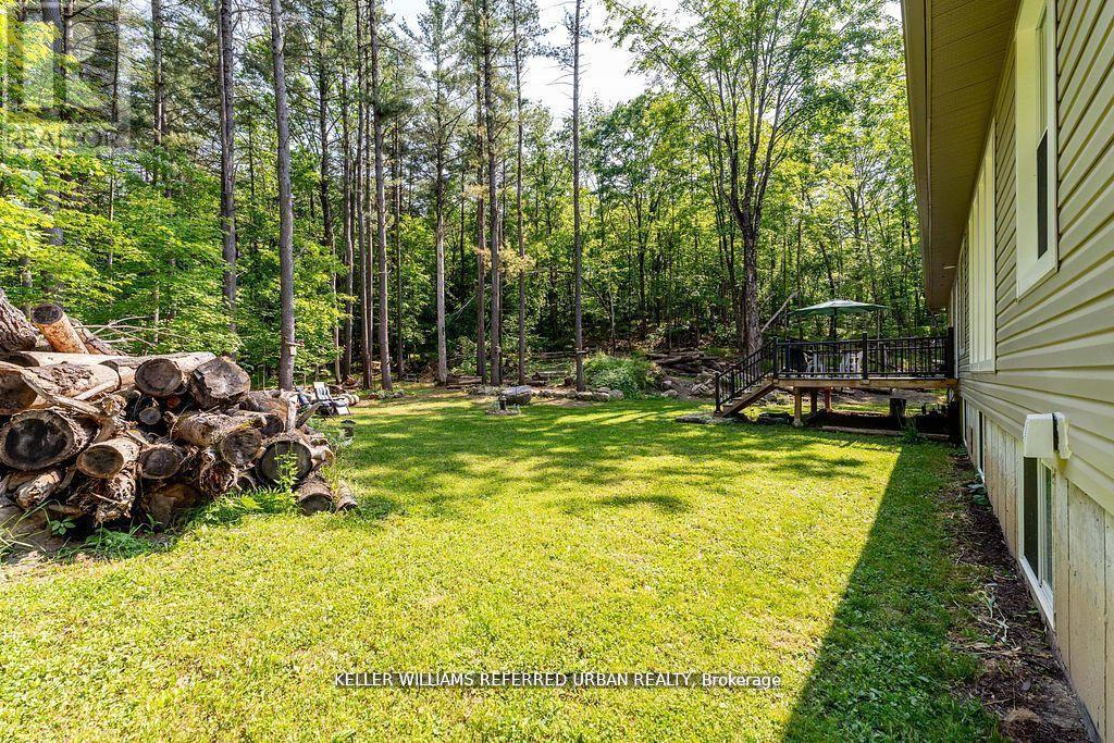 51 PINE GROVE ROAD - 44