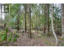 2370 Larsen Rd, Shawnigan Lake, BC V8H2E7 Photo 61