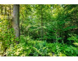 19519 Lapierre Road, South Glengarry, ON K0C2E0 Photo 16