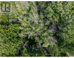 19519 Lapierre Road, South Glengarry, ON K0C2E0 Photo 8