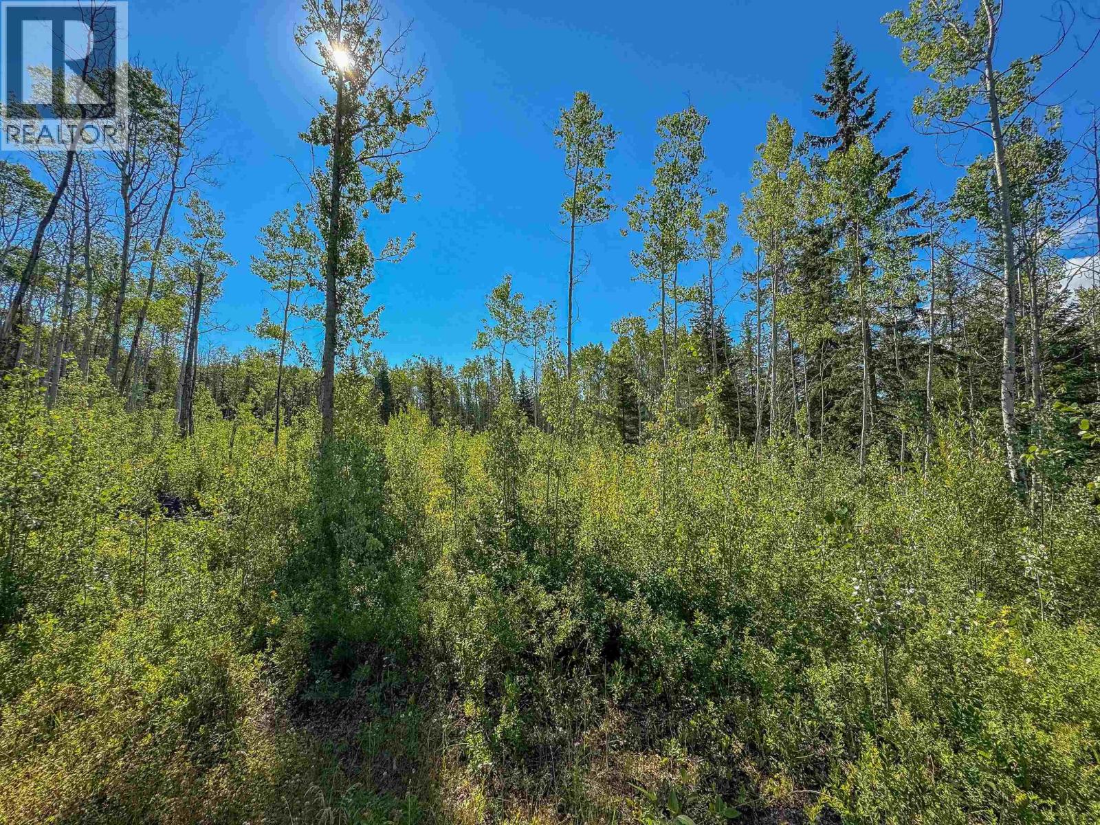 Lot A YELICH ROAD, Smithers