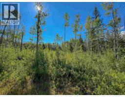 Lot A Yelich Road, Smithers, BC V0J2N2 Photo 7