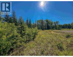 Lot A Yelich Road, Smithers, BC V0J2N2 Photo 8