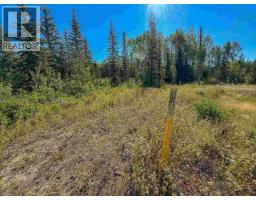 Lot A Yelich Road, Smithers, BC V0J2N2 Photo 9