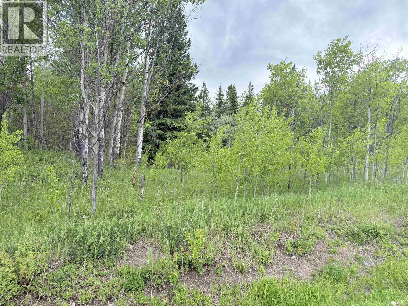 23512 HOWELLS ROAD, Smithers