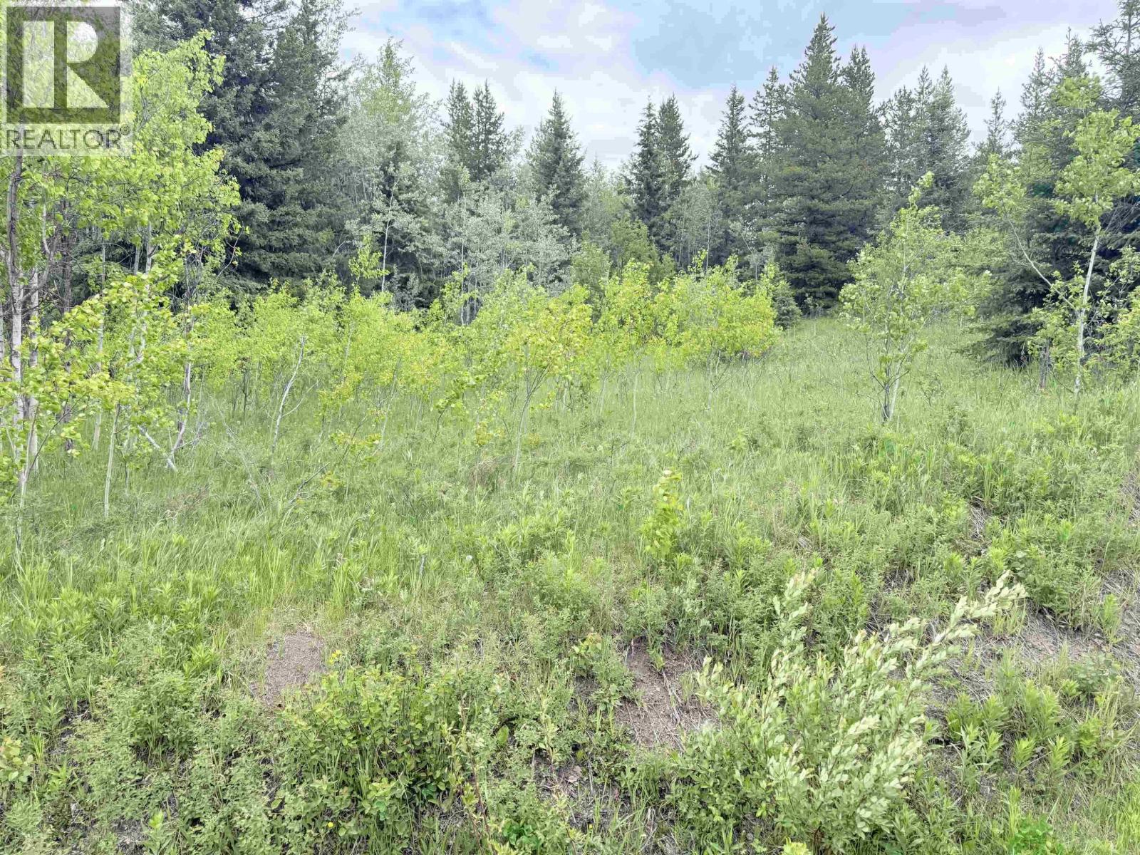 23512 HOWELLS ROAD, Smithers