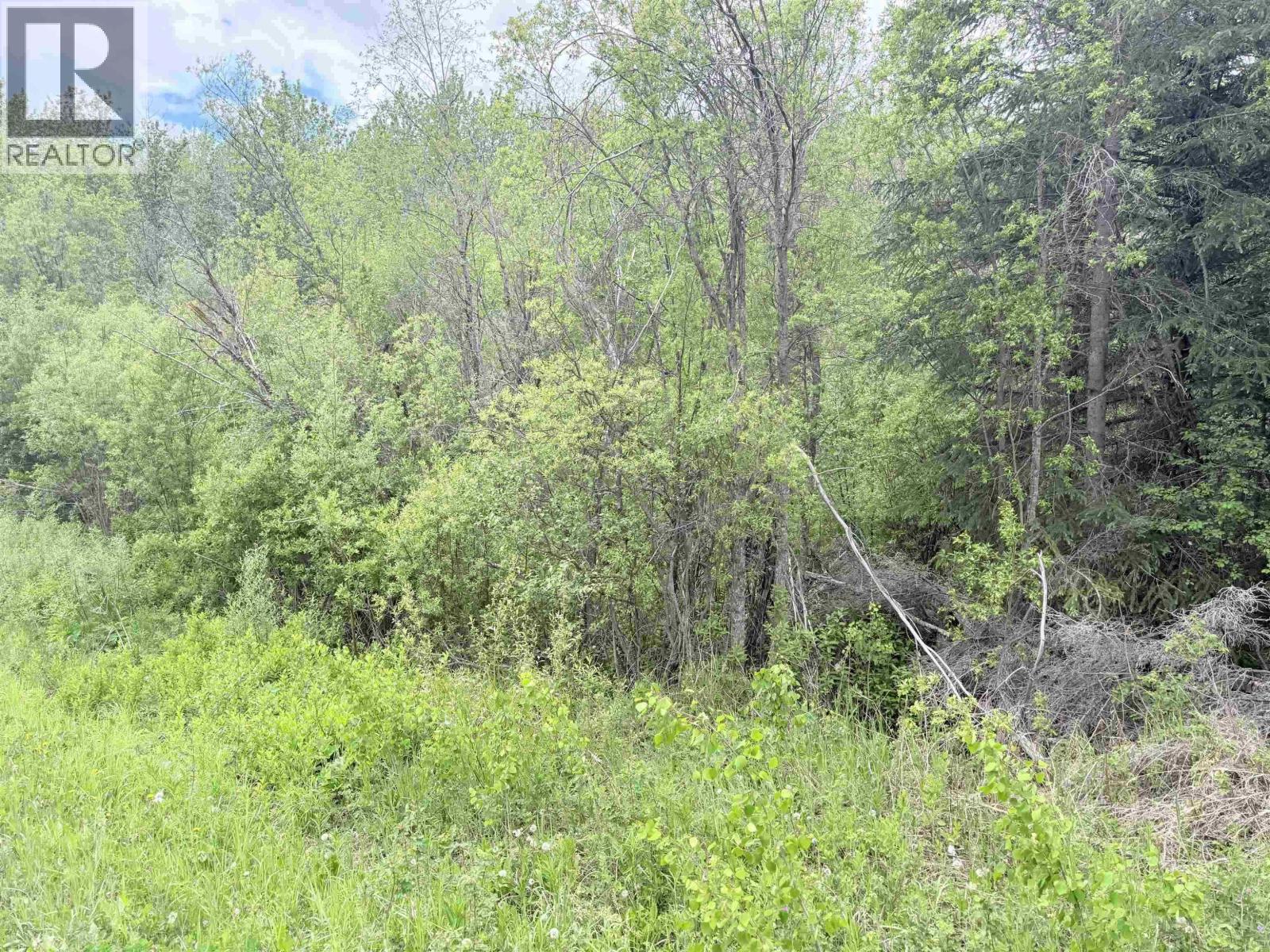 23512 HOWELLS ROAD, Smithers