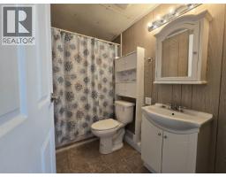 25 101 Elm Street, Valemount, BC V0E2Z0 Photo 14