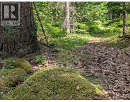 660 Bradley Road Lot# A, Seymour Arm, BC  Photo 14