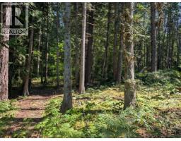 660 Bradley Road Lot# A, Seymour Arm, BC  Photo 49