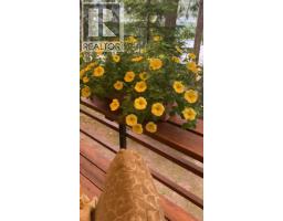 660 Bradley Road Lot# A, Seymour Arm, BC  Photo 64