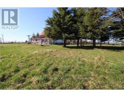 772789 Highway 10 Highway, Grey Highlands, ON N0B1C0 Photo 6