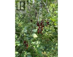Gabriel Bridge Acreage, Fish Creek Rm No  402, SK S0K4P0 Photo 42