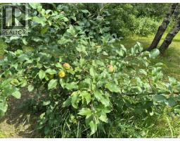 Gabriel Bridge Acreage, Fish Creek Rm No  402, SK S0K4P0 Photo 43