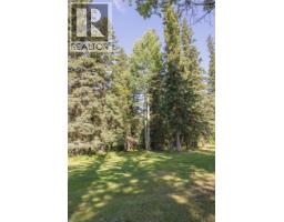 849 Bridge Road, Mcbride, BC V0J2E0 Photo 6