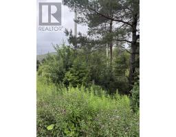 Lot 1 & 2 Whycocomagh Port Hood Rd. Soapstone Mine, Soapstone Mine, NS B0E3M0 Photo 6