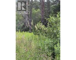 Lot 1 & 2 Whycocomagh Port Hood Rd. Soapstone Mine, Soapstone Mine, NS B0E3M0 Photo 8